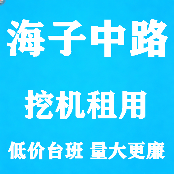 北京海子中路挖机租赁图