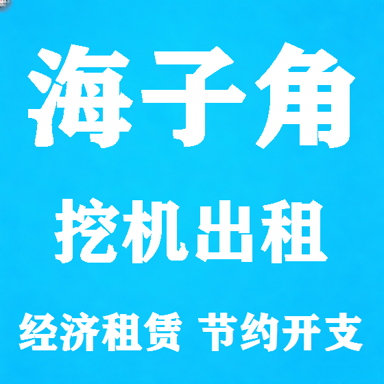 北京海子角挖机租赁图