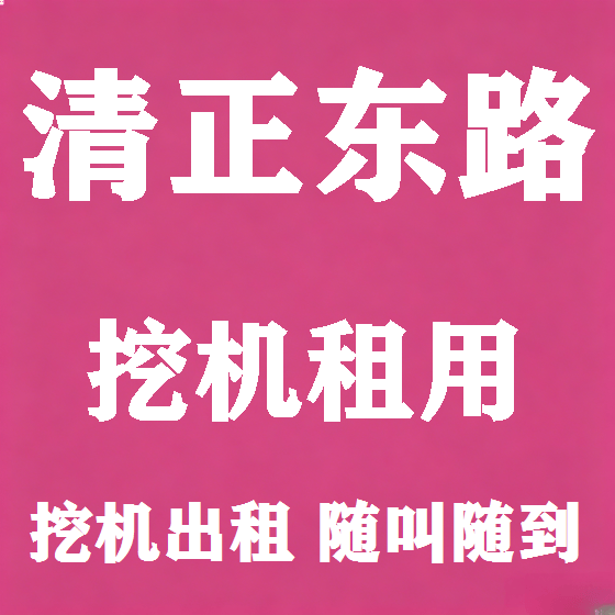 北京清正东路挖机租赁图