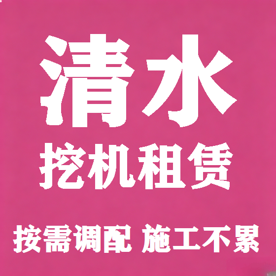 北京清水挖机租赁图