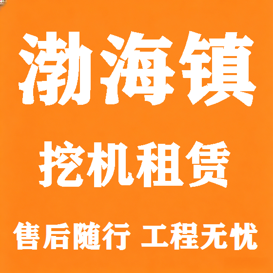 北京渤海镇挖机租赁图