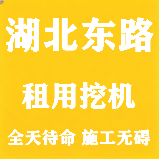北京湖北东路挖机租赁图