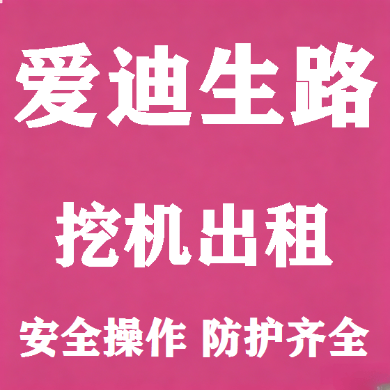 北京爱迪生路挖机租赁图