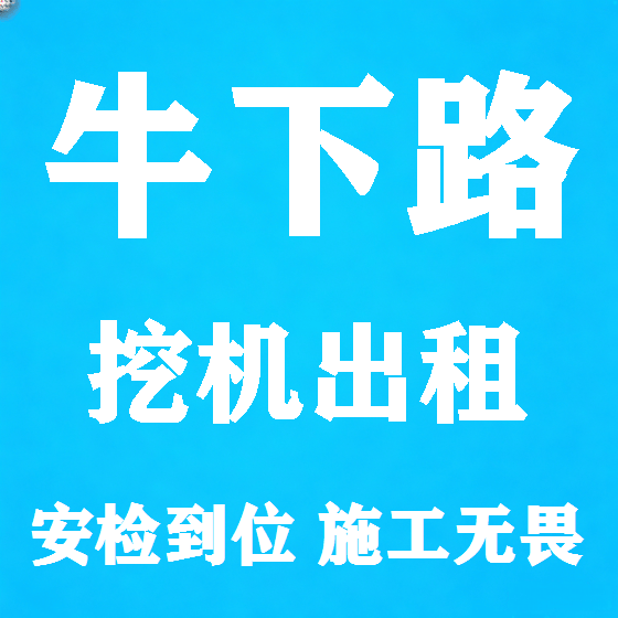 北京牛下路挖机租赁图