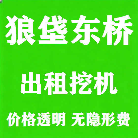 北京狼垡东桥挖机租赁图