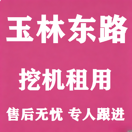 北京玉林东路挖机租赁图