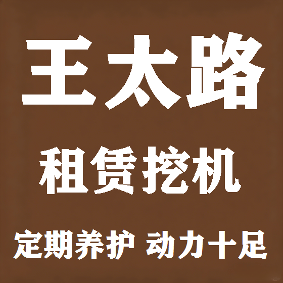 北京王太路挖机租赁图