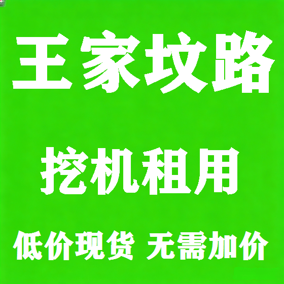 北京王家坟路挖机租赁图