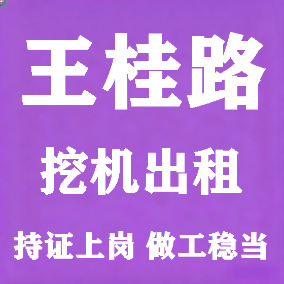 北京王桂路挖机租赁图