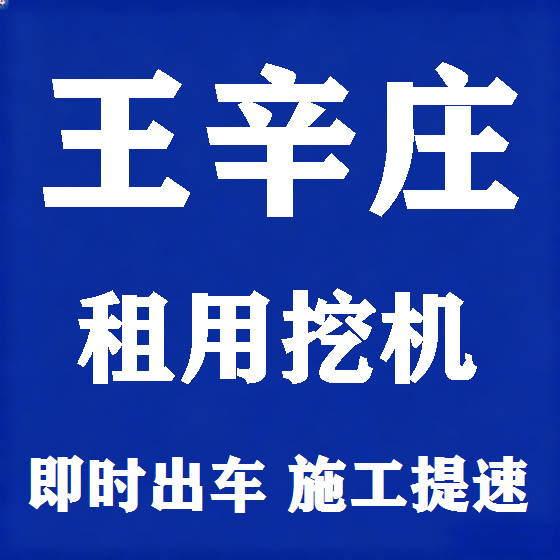 北京王辛庄挖机租赁图