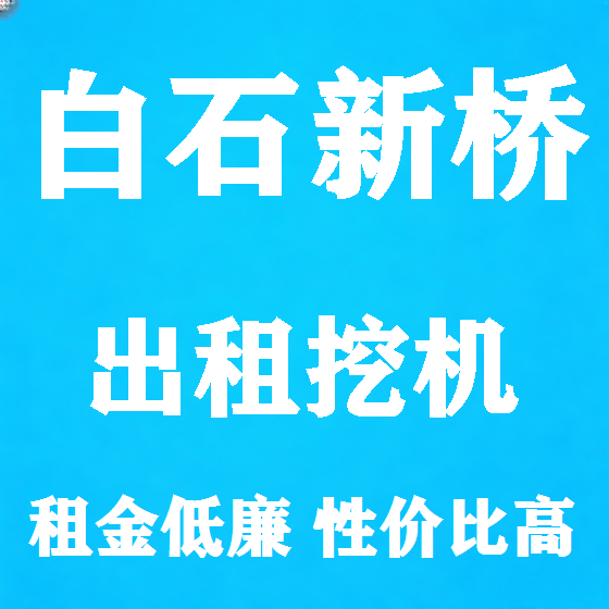 北京白石新桥挖机租赁图