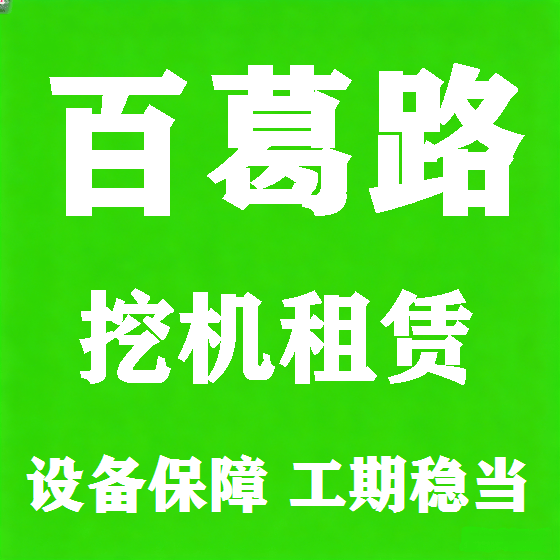 北京百葛路挖机租赁图