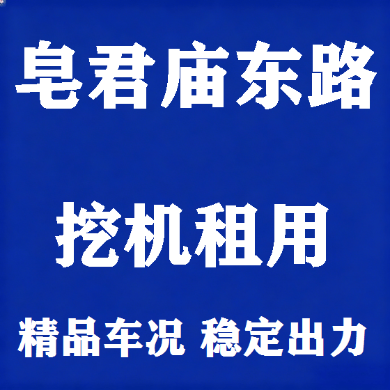 北京皂君庙东路挖机租赁图
