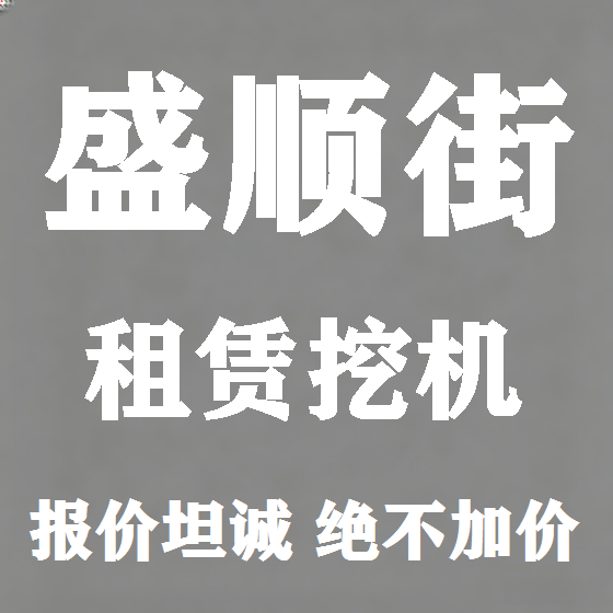 北京盛顺街挖机租赁图