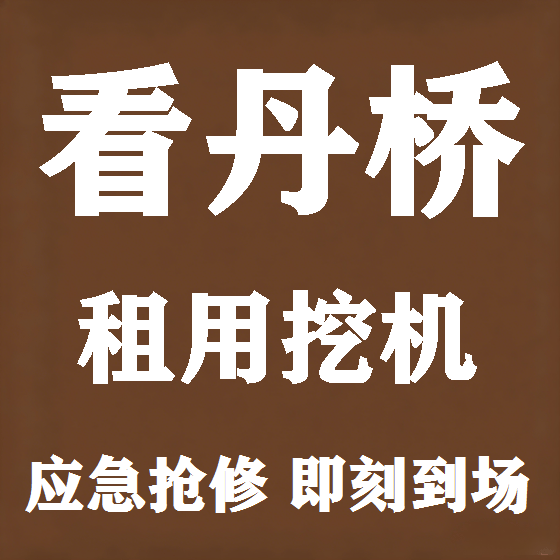 北京看丹桥挖机租赁图