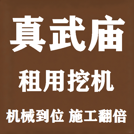 北京真武庙挖机租赁图