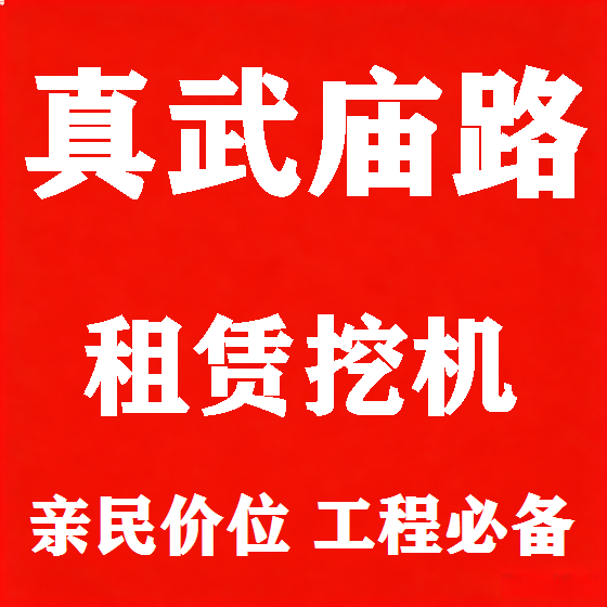 北京真武庙路挖机租赁图