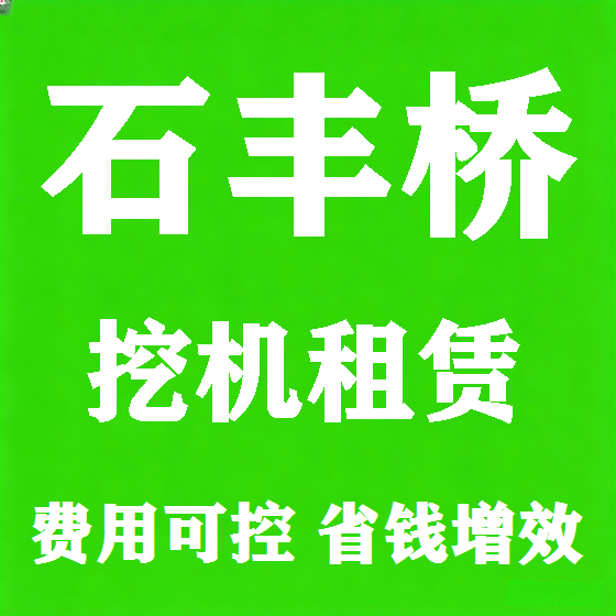 北京石丰桥挖机租赁图