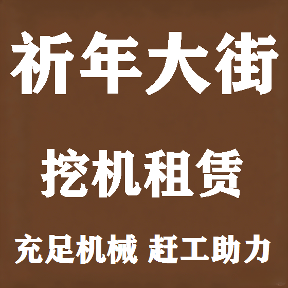 北京祈年大街挖机租赁图