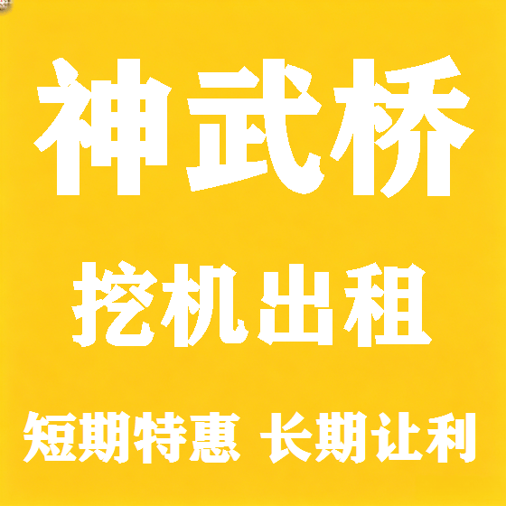北京神武桥挖机租赁图
