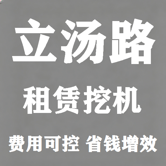 北京立汤路挖机租赁图