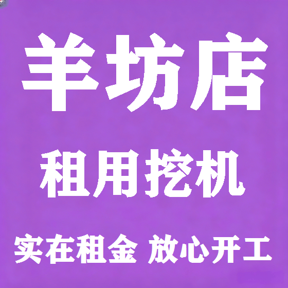 北京羊坊店挖机租赁图