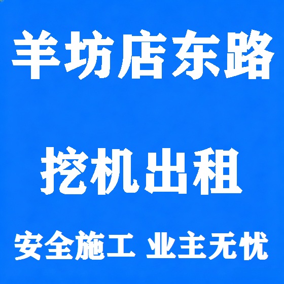 北京羊坊店东路挖机租赁图