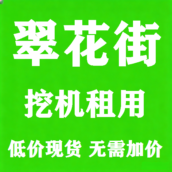 北京翠花街挖机租赁图