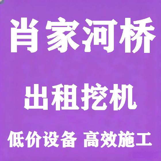 北京肖家河桥挖机租赁图