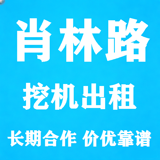 北京肖林路挖机租赁图