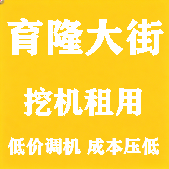 北京育隆大街挖机租赁图