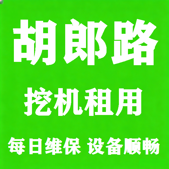 北京胡郎路挖机租赁图