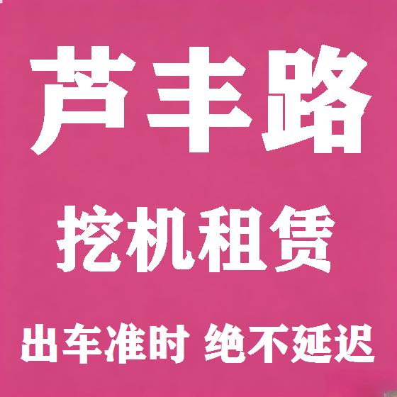 北京芦丰路挖机租赁图