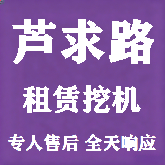 北京芦求路挖机租赁图