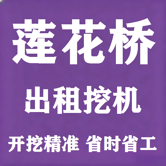北京莲花桥挖机租赁图