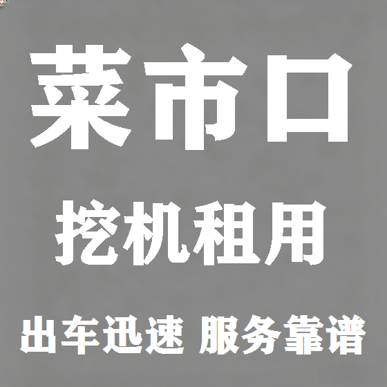 北京菜市口挖机租赁图