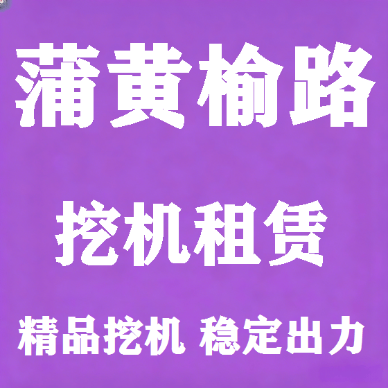 北京蒲黄榆路挖机租赁图