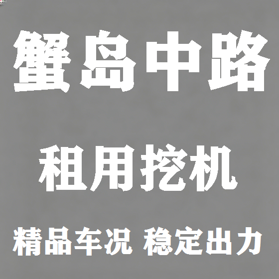 北京蟹岛中路挖机租赁图