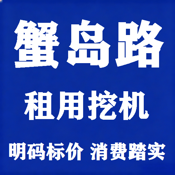 北京蟹岛路挖机租赁图