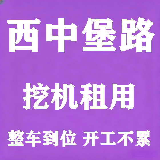 北京西中堡路挖机租赁图