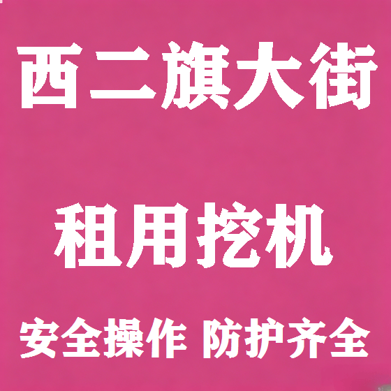 北京西二旗大街挖机租赁图