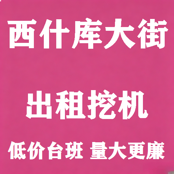 北京西什库大街挖机租赁图