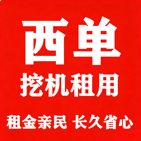 北京西单挖机租赁图