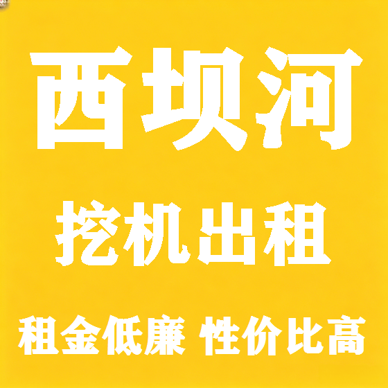 北京西坝河挖机租赁图