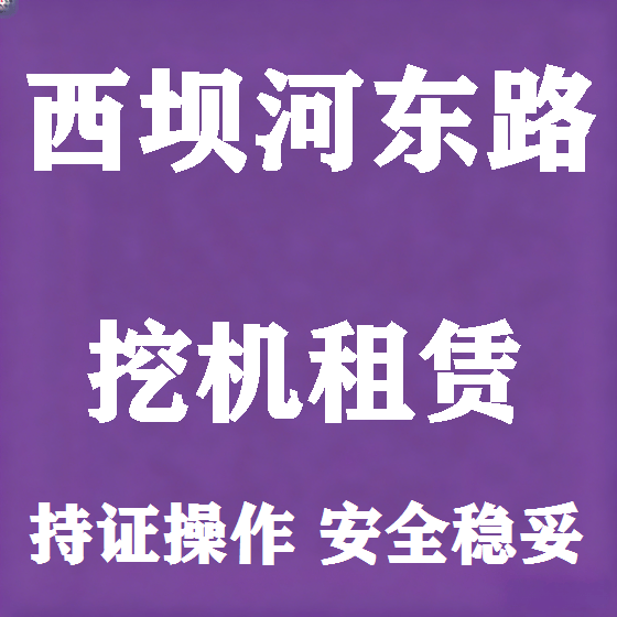北京西坝河东路挖机租赁图