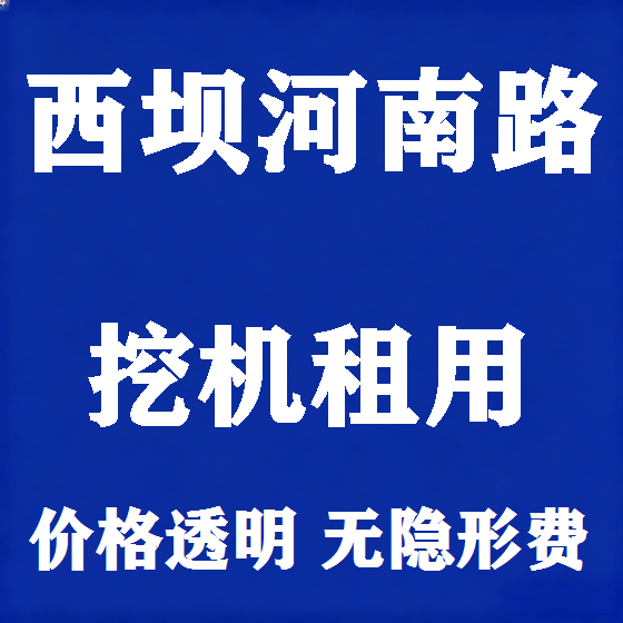 北京西坝河南路挖机租赁图