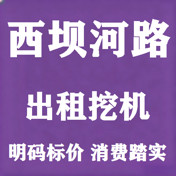 北京西坝河路挖机租赁图