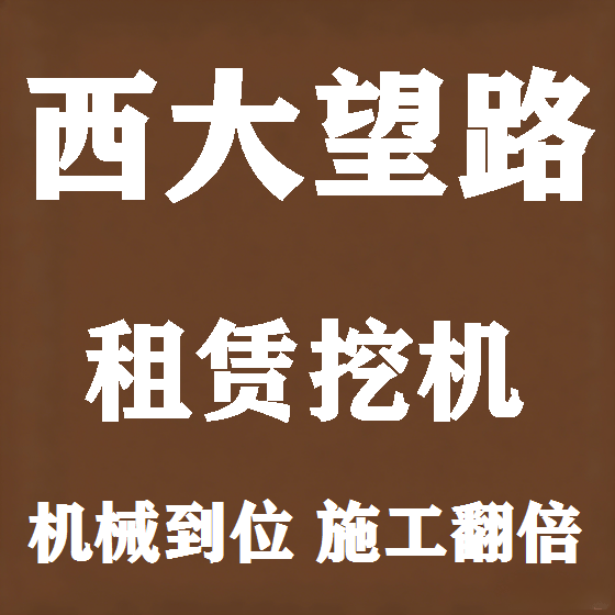 北京西大望路挖机租赁图