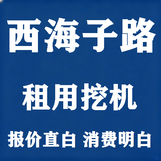 北京西海子路挖机租赁图