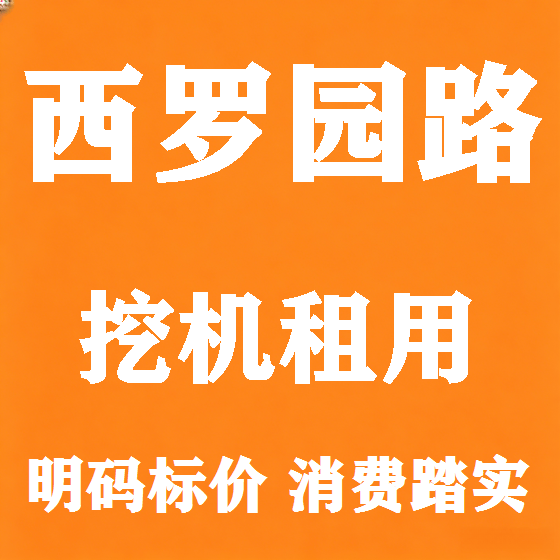 北京西罗园路挖机租赁图